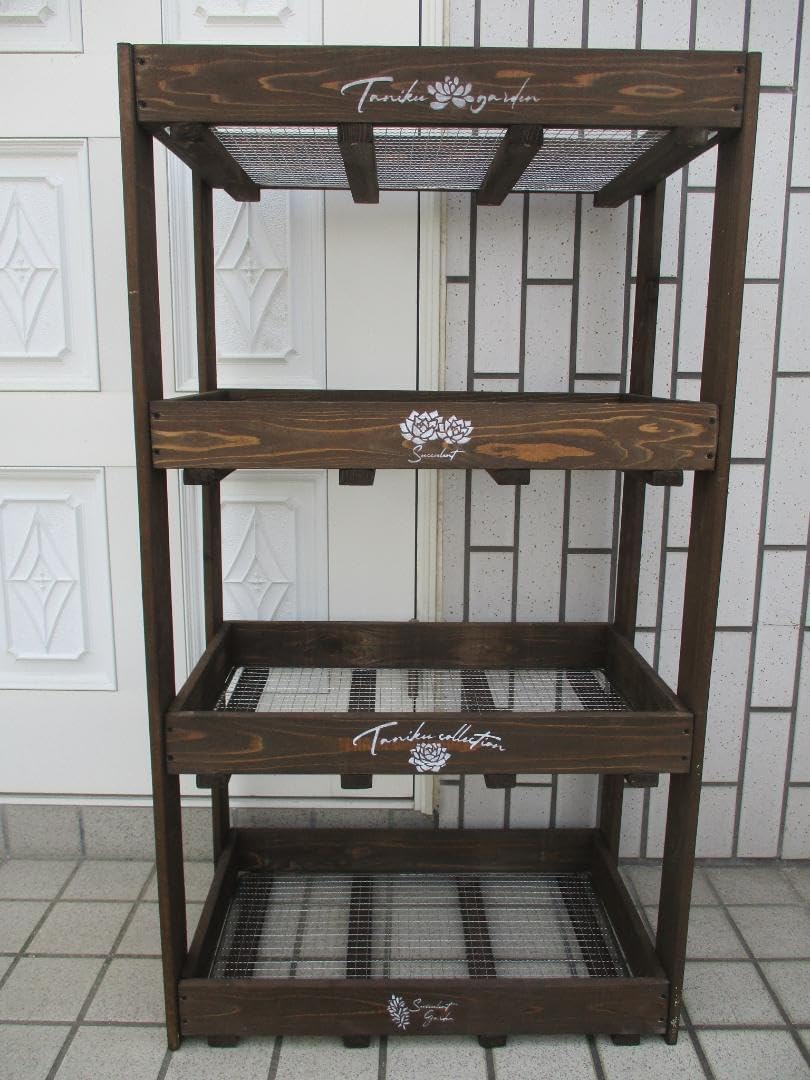 ６段トレー　多肉植物棚　木製プランター　多肉棚　トレー　アガベ　斑入り　韓国苗 6段トレー 多肉植物棚 木製プランター 多肉棚 トレー アガベ